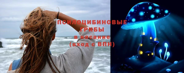 гидра Осташков