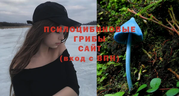 гидра Осташков