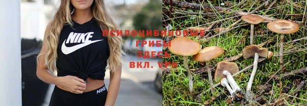 гидра Осташков