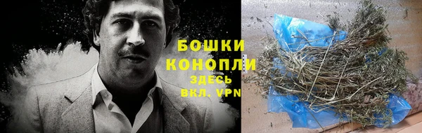 Альфа ПВП Осинники