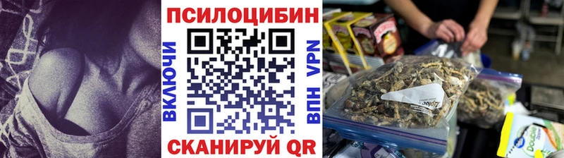 наркота  Прохладный  Галлюциногенные грибы Magic Shrooms 
